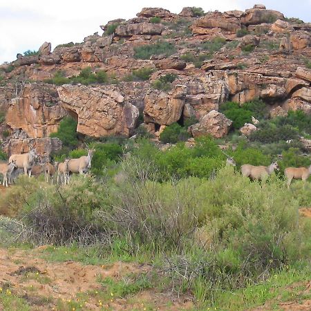 Traveller'S Rest Villa Clanwilliam Exterior photo