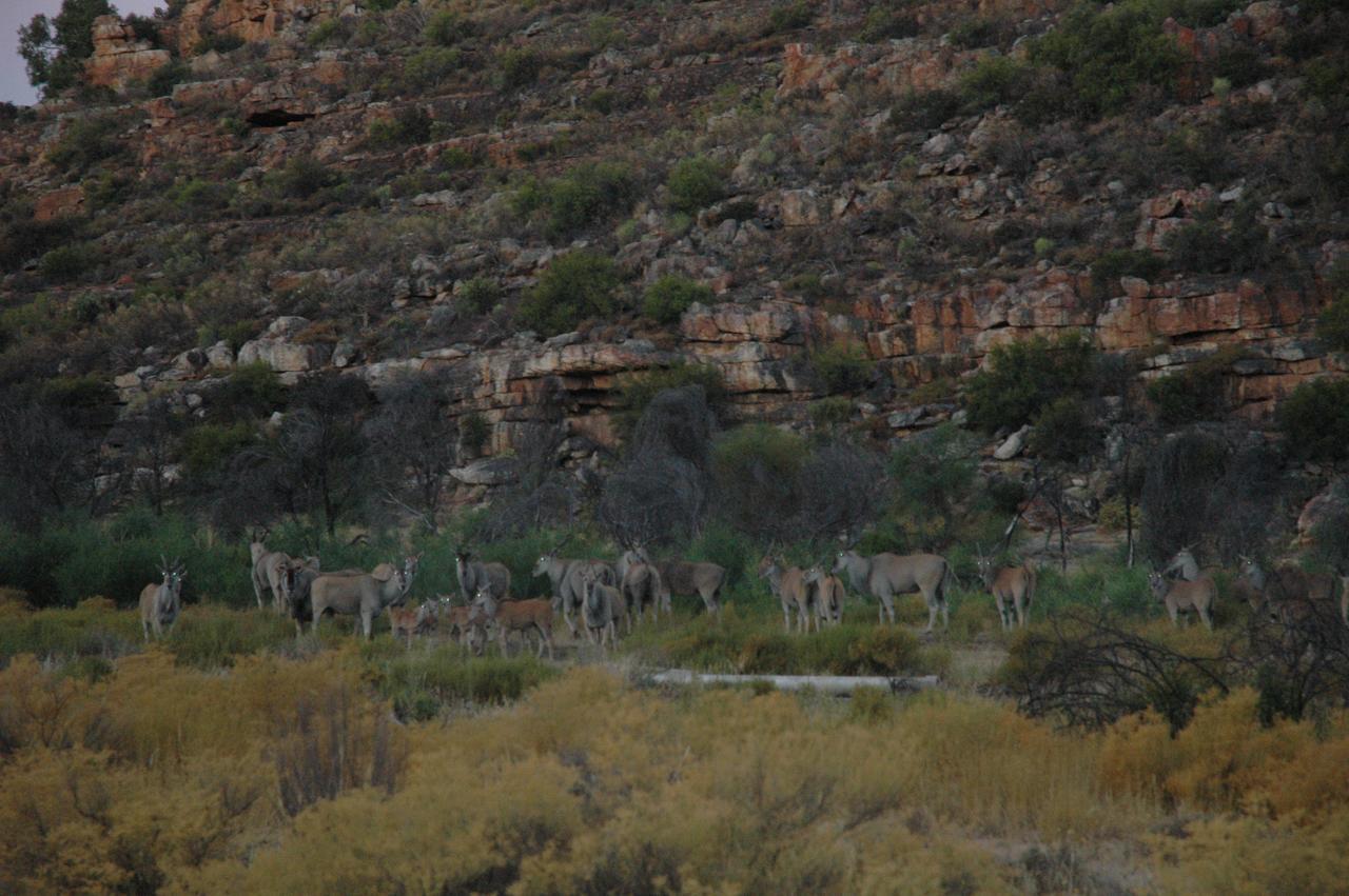 Traveller'S Rest Villa Clanwilliam Exterior photo